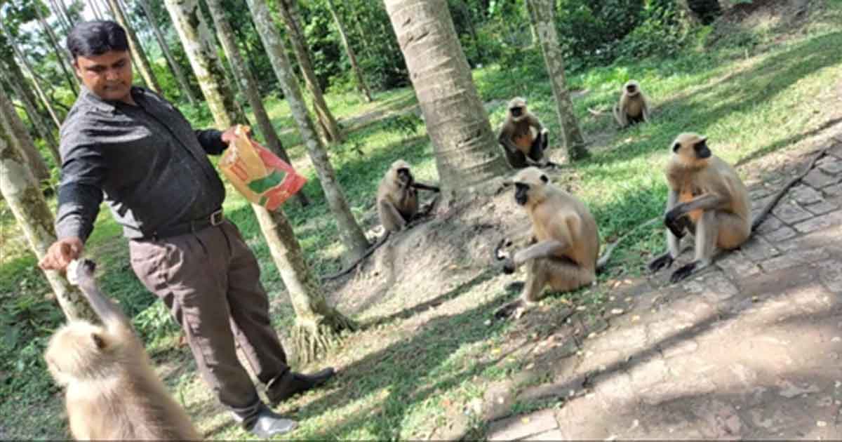 BASCO Foundation`s staff is supplying food to some Entellus.